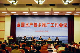 貴州農(nóng)業(yè)科技信息網(wǎng) 科技賦能農(nóng)業(yè)，技術(shù)推廣助力鄉(xiāng)村振興